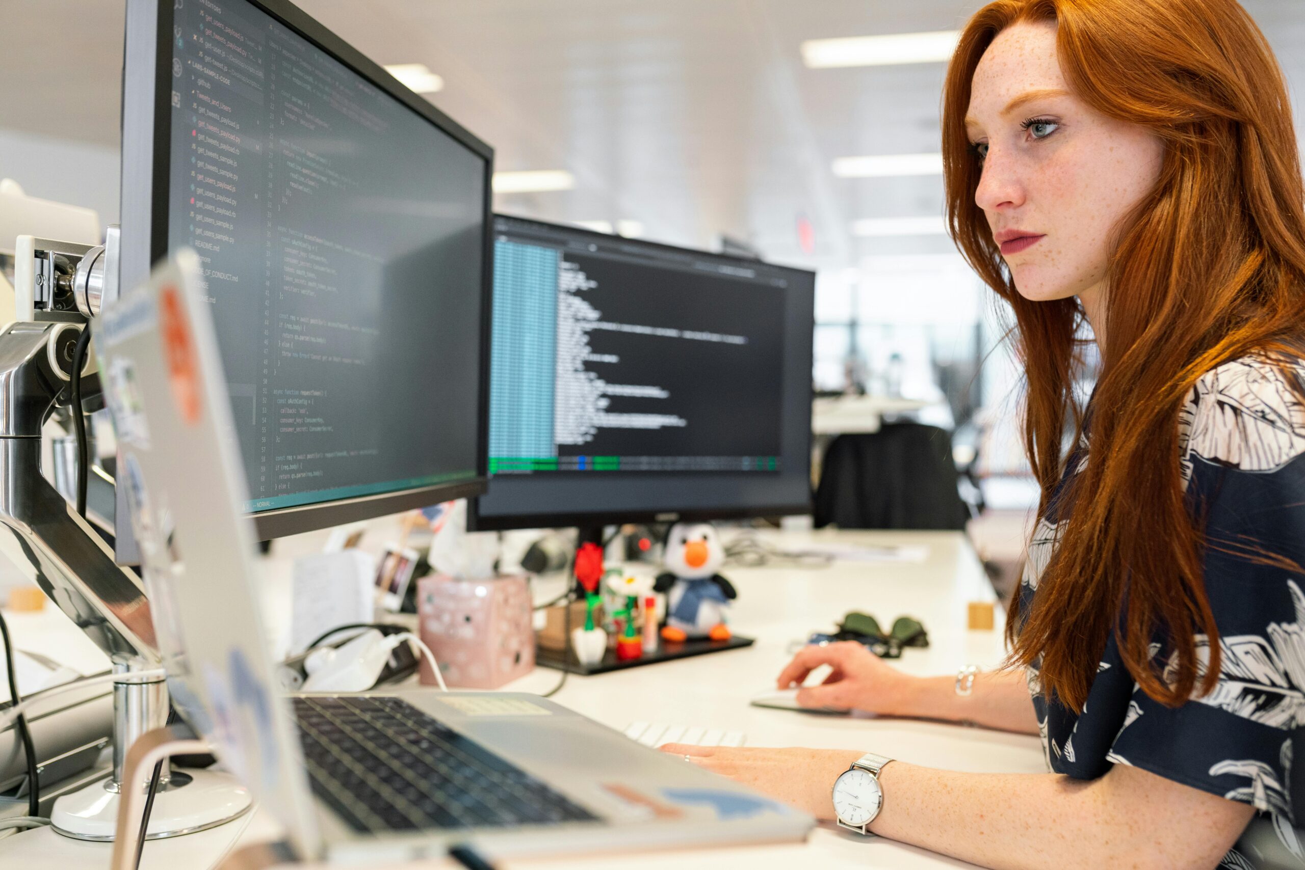 Business Development for Software Development